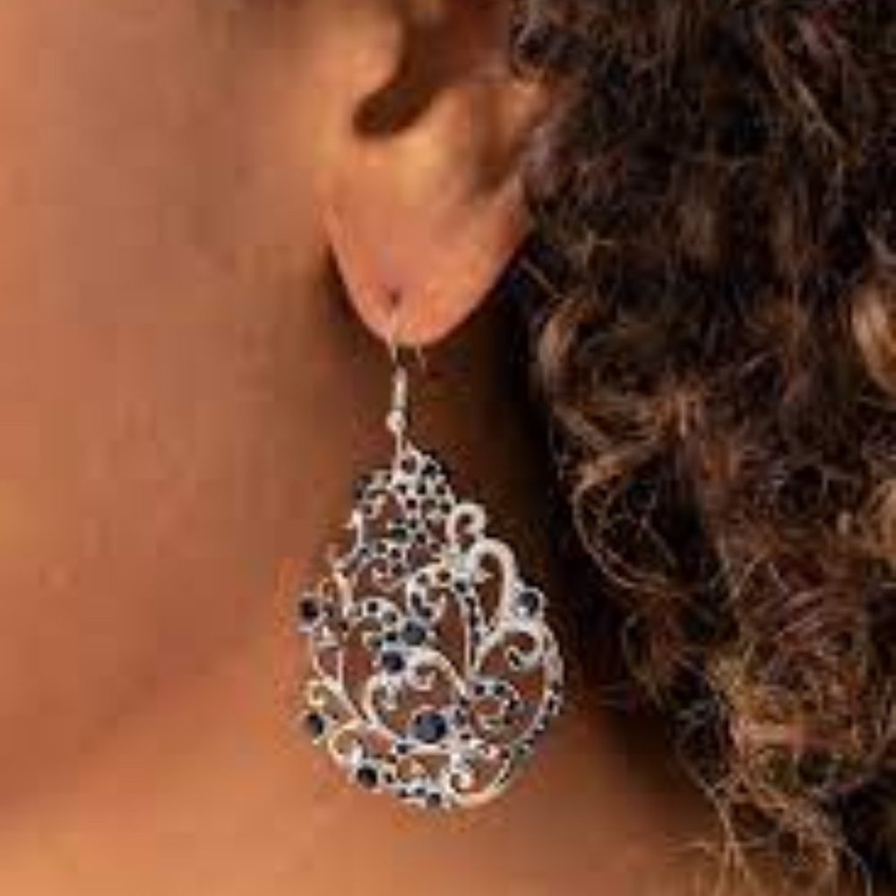 Paparazzi Earring ~ Winter Garden - Blue